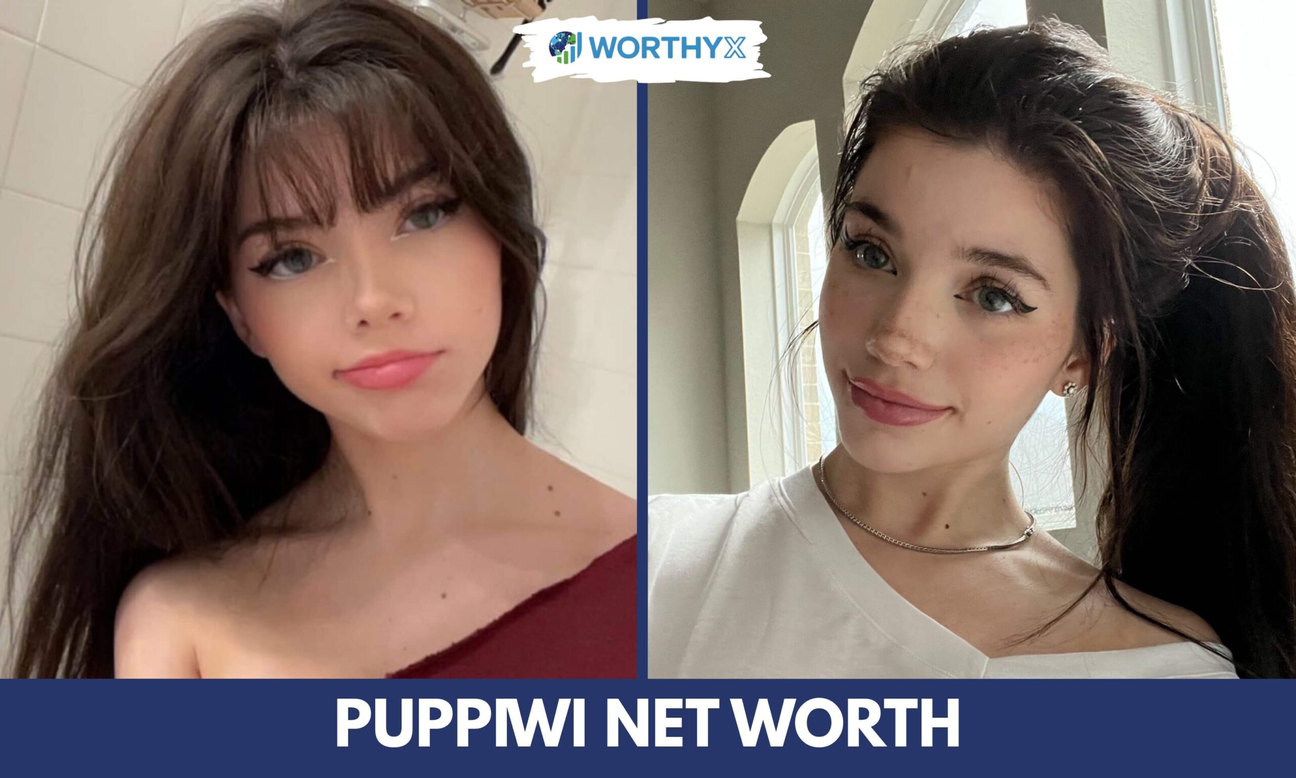 Puppiwi Net Worth