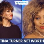Tina Turner Net Worth