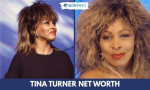 Tina Turner Net Worth