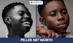 Peller Net Worth